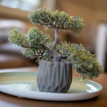 Huus Avelia Eg דירה